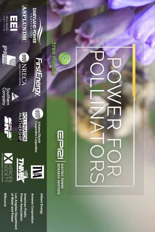 Poster di Power for Pollinators