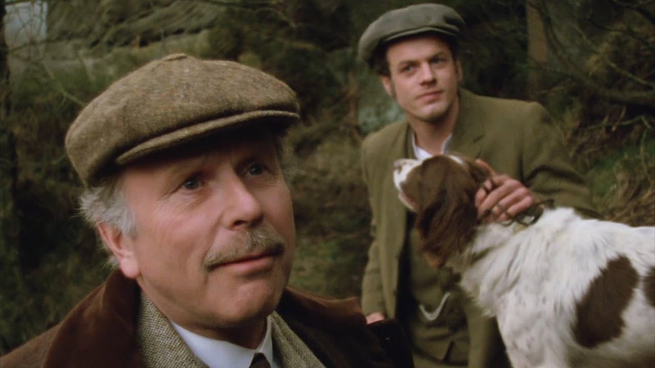 The Hound of the Baskervilles - immagine