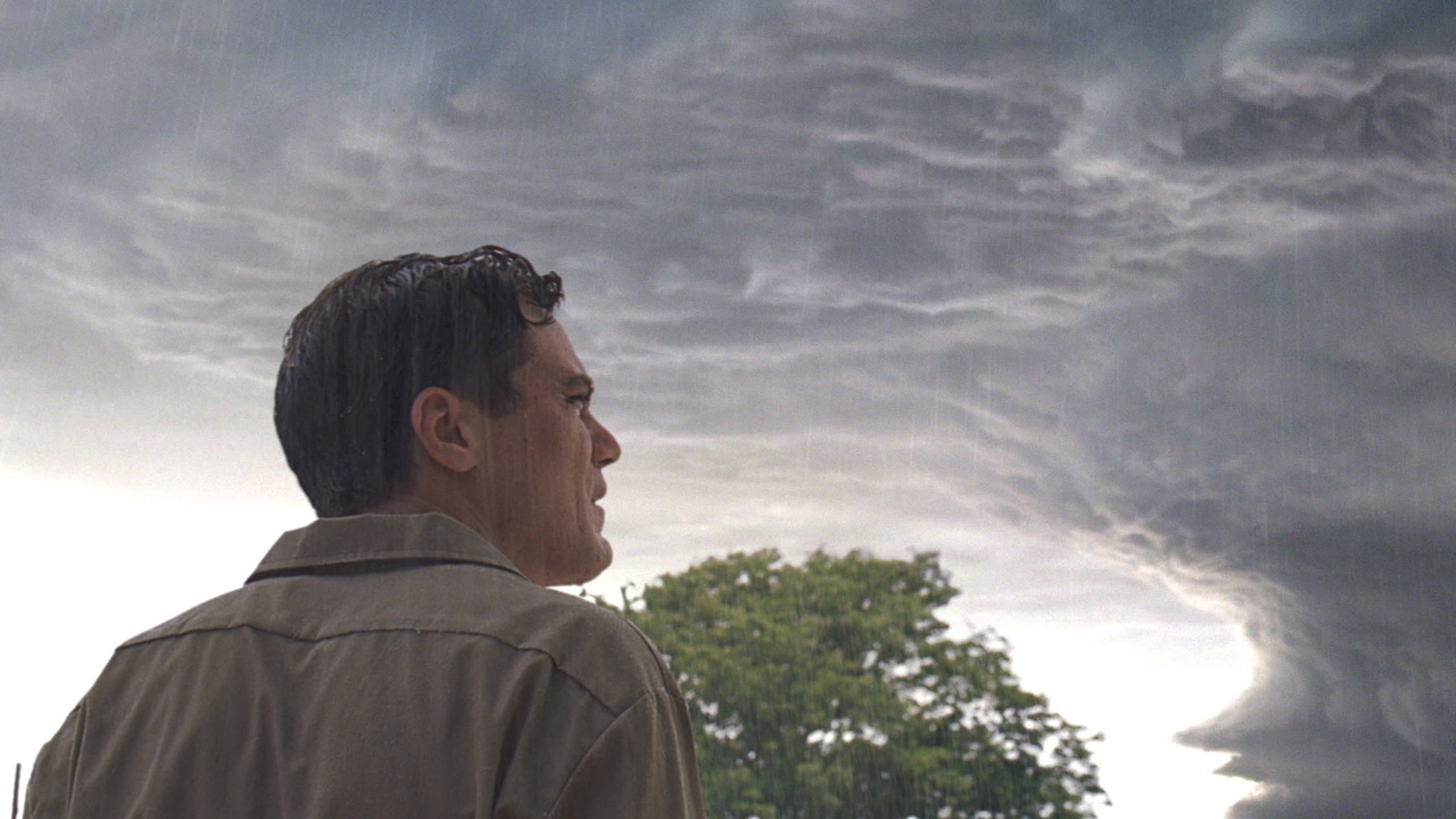 Take Shelter - immagine