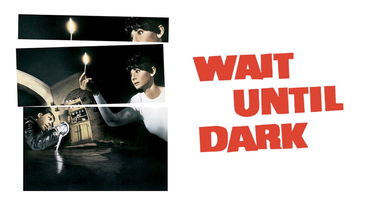 Gli occhi della notte - immagine
