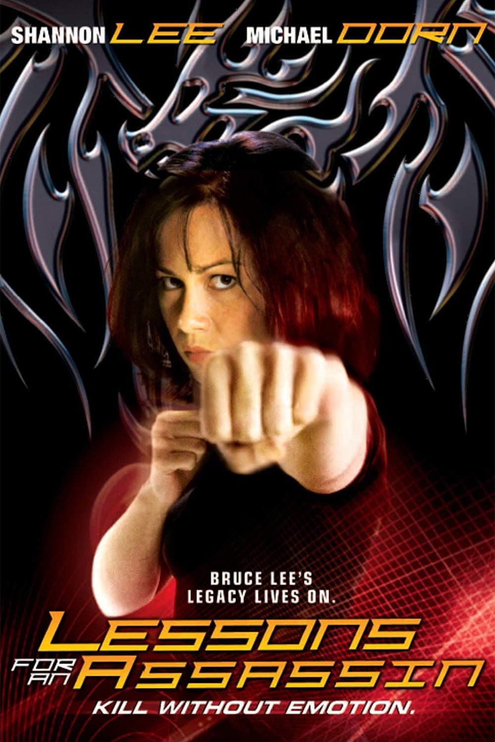 Poster di Lessons for an Assassin