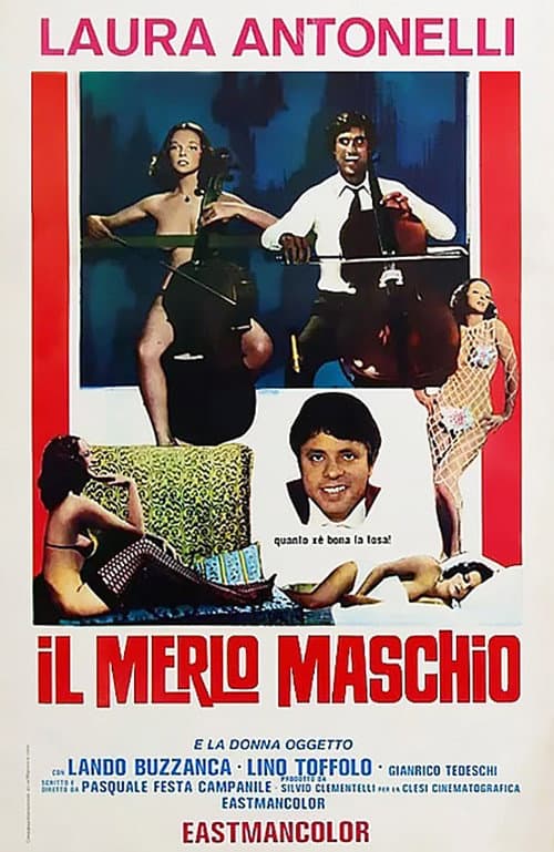 Poster di Il merlo maschio