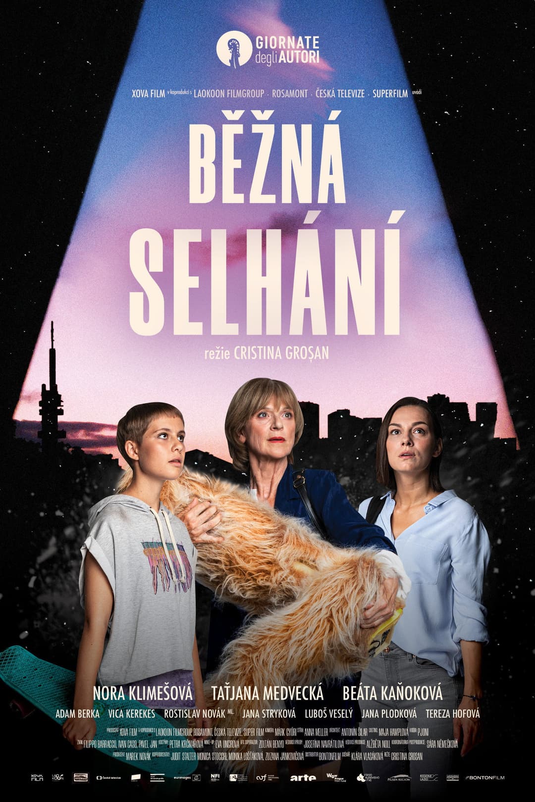 Poster di Běžná selhání