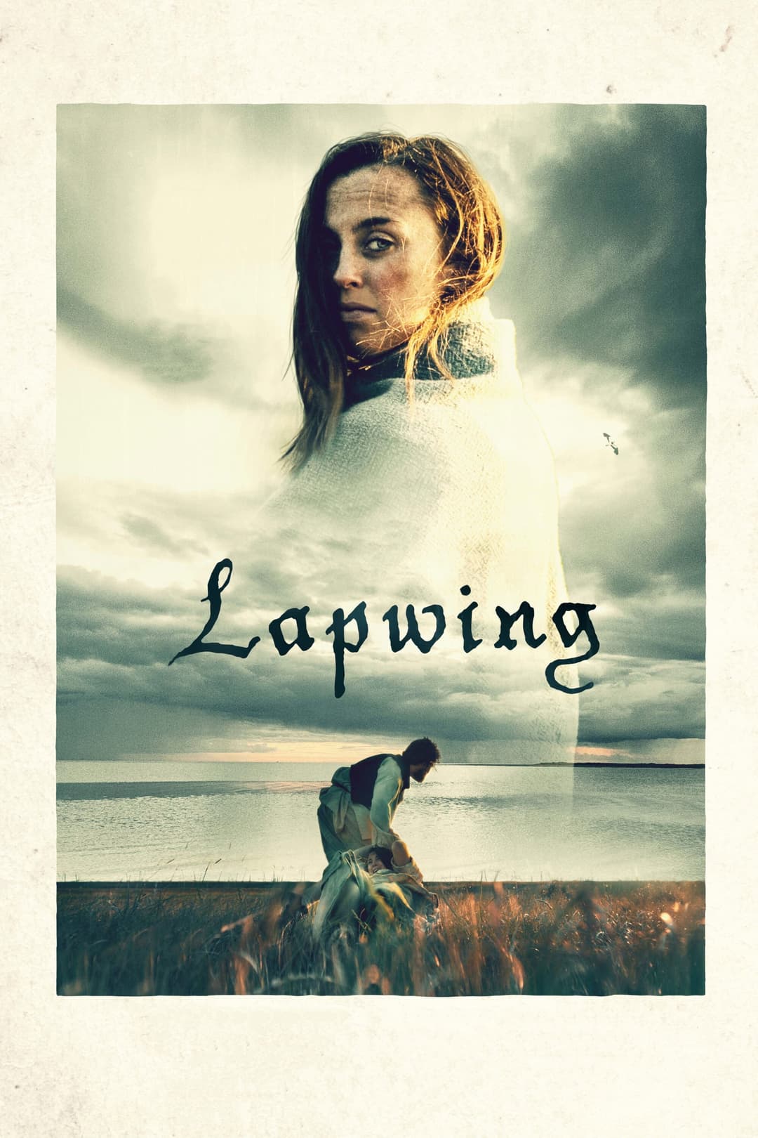 Poster di Lapwing