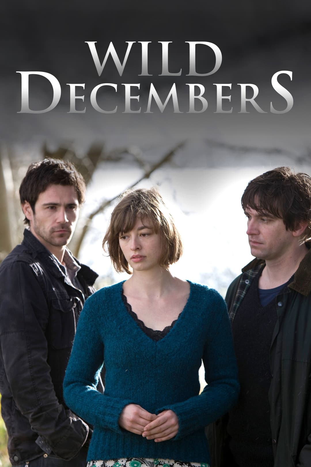 Poster di Wild Decembers