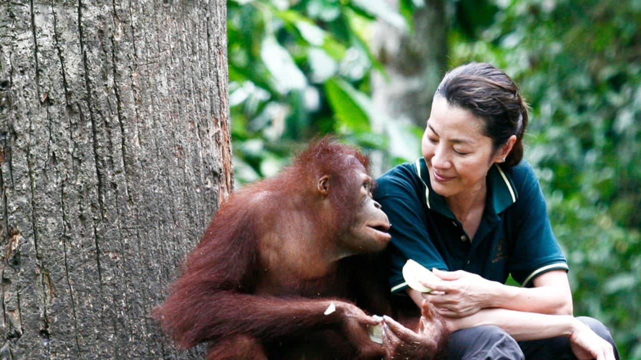 Among the Great Apes with Michelle Yeoh - immagine