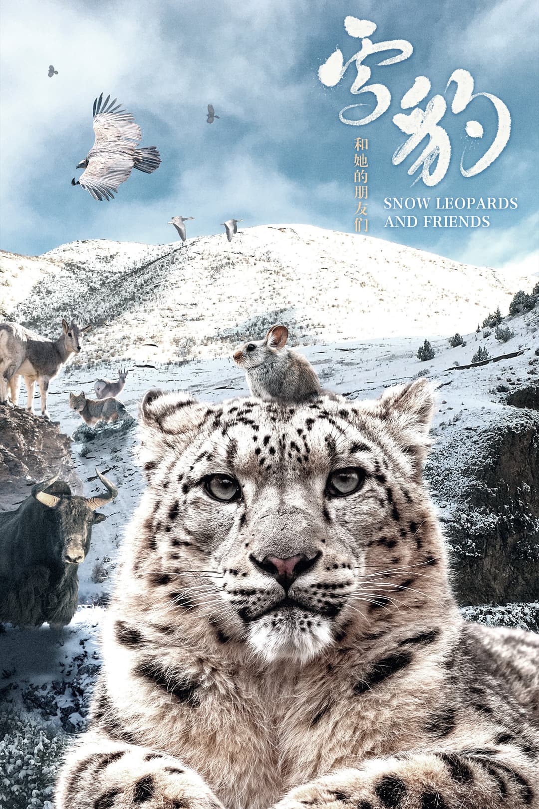 Poster di 雪豹和她的朋友们