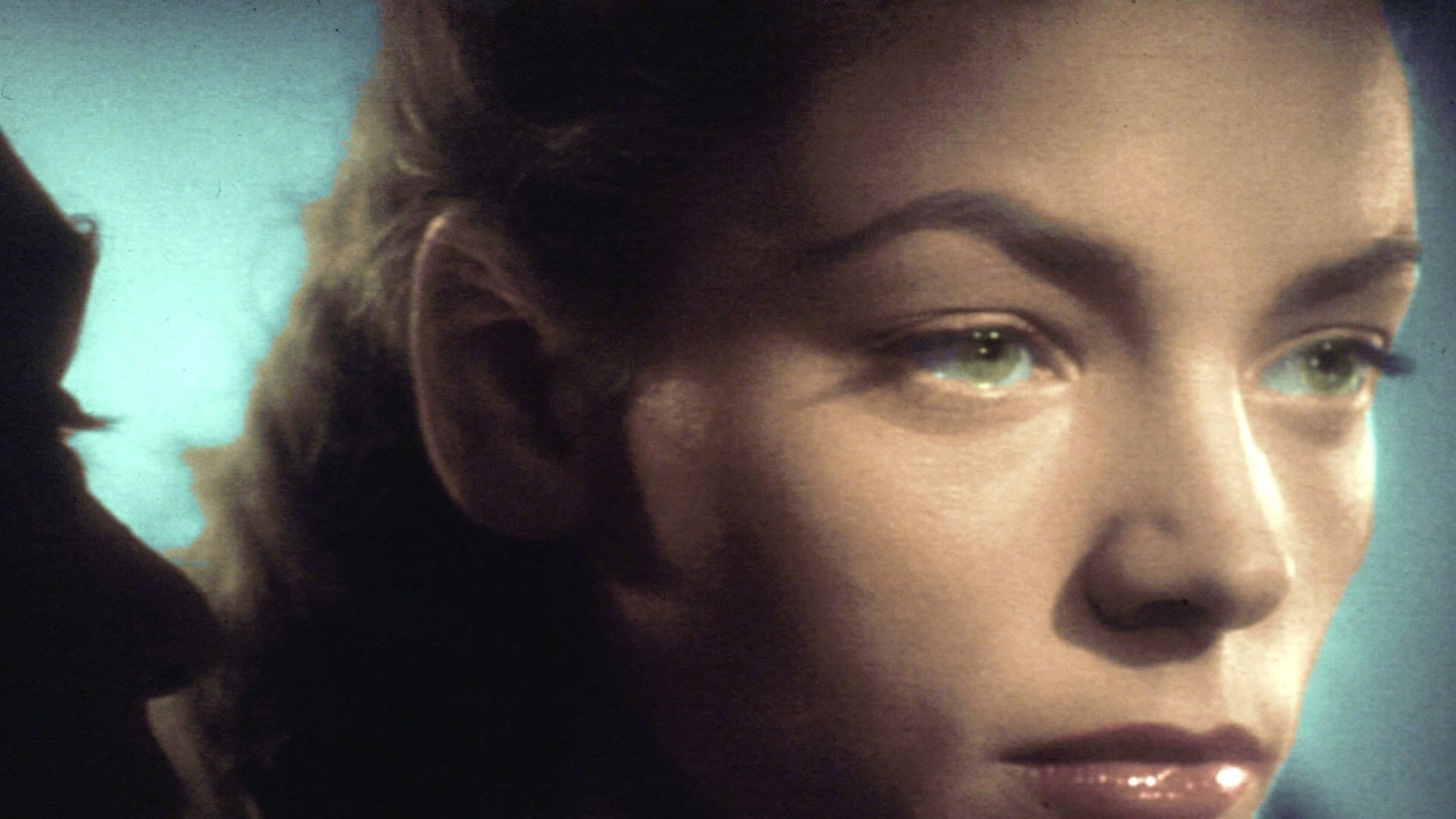 Lauren Bacall, ombre et lumière - immagine