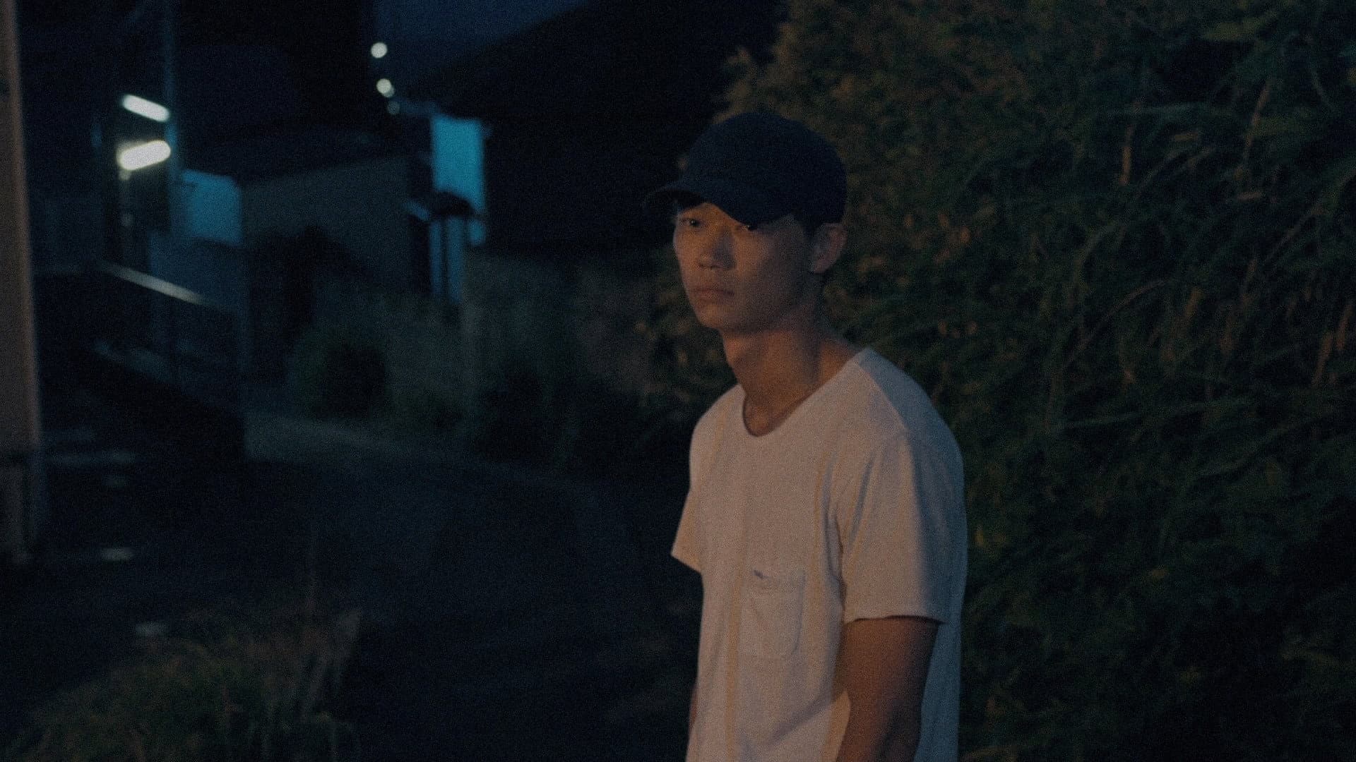 さかな - immagine