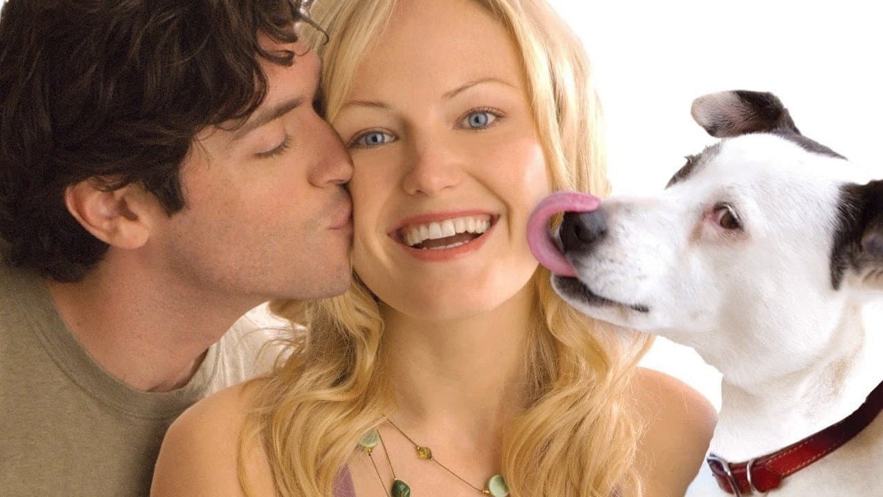 Lui, lei e Babydog - immagine