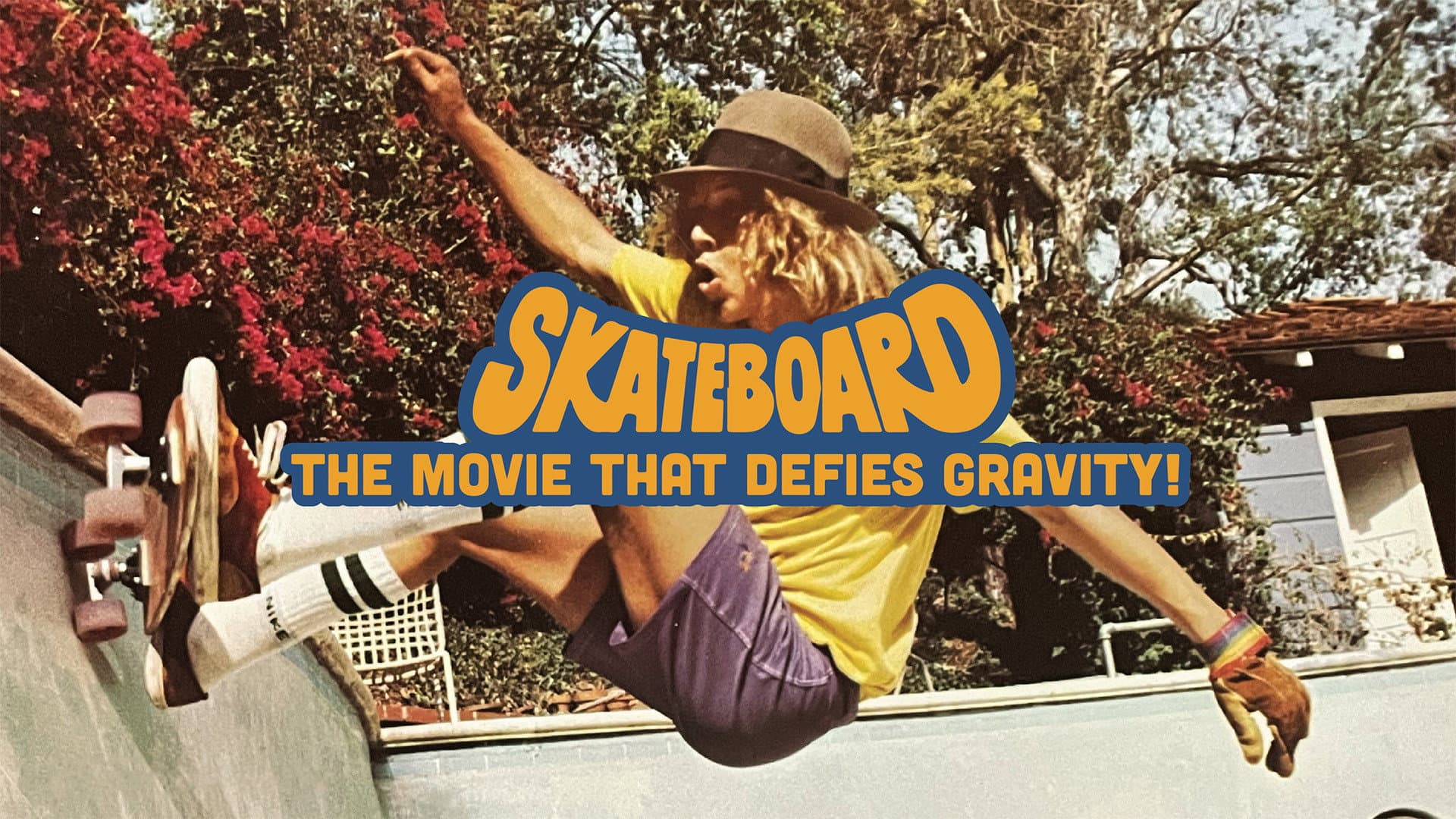 Skateboard - immagine