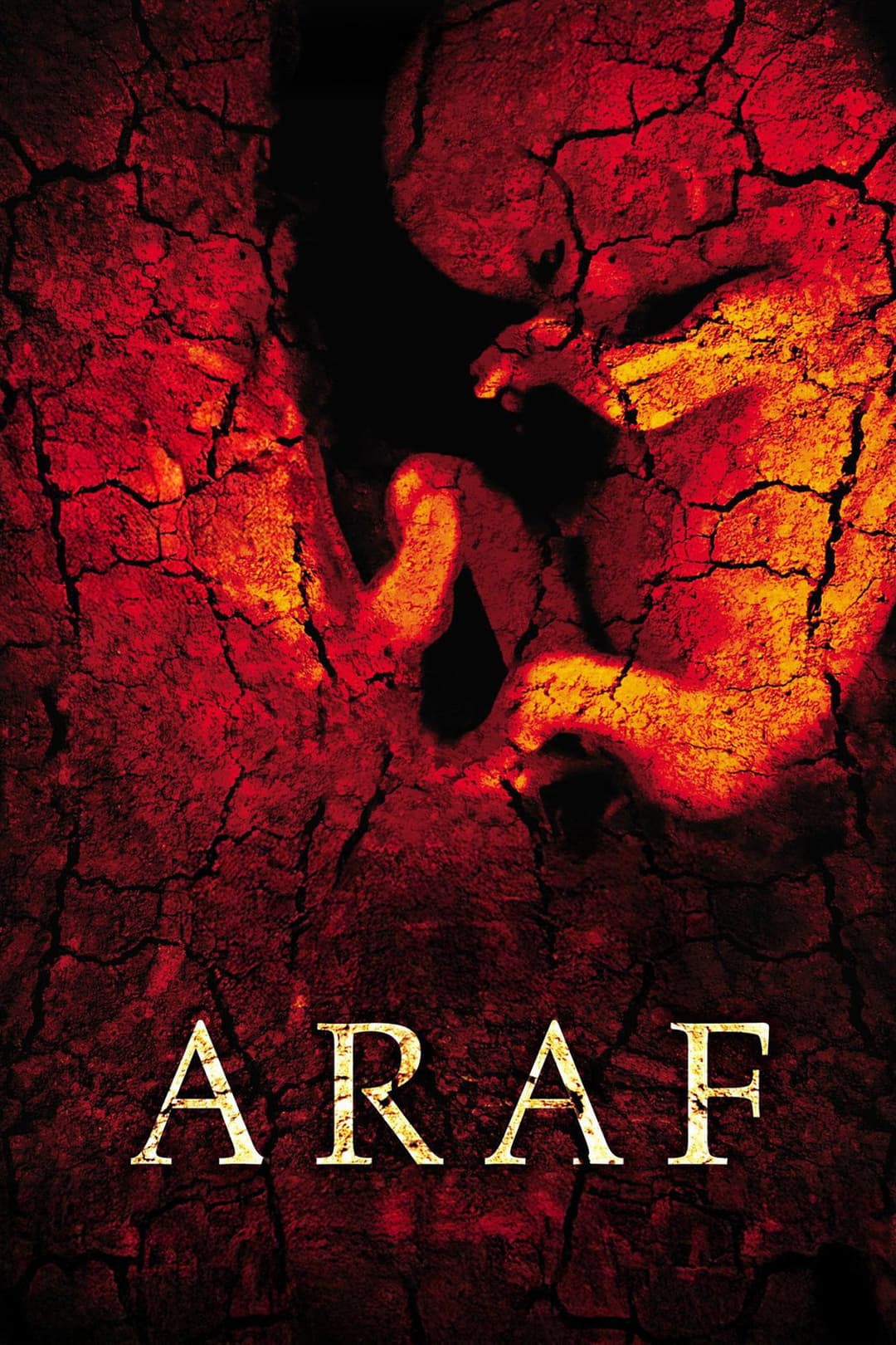 Poster di Araf