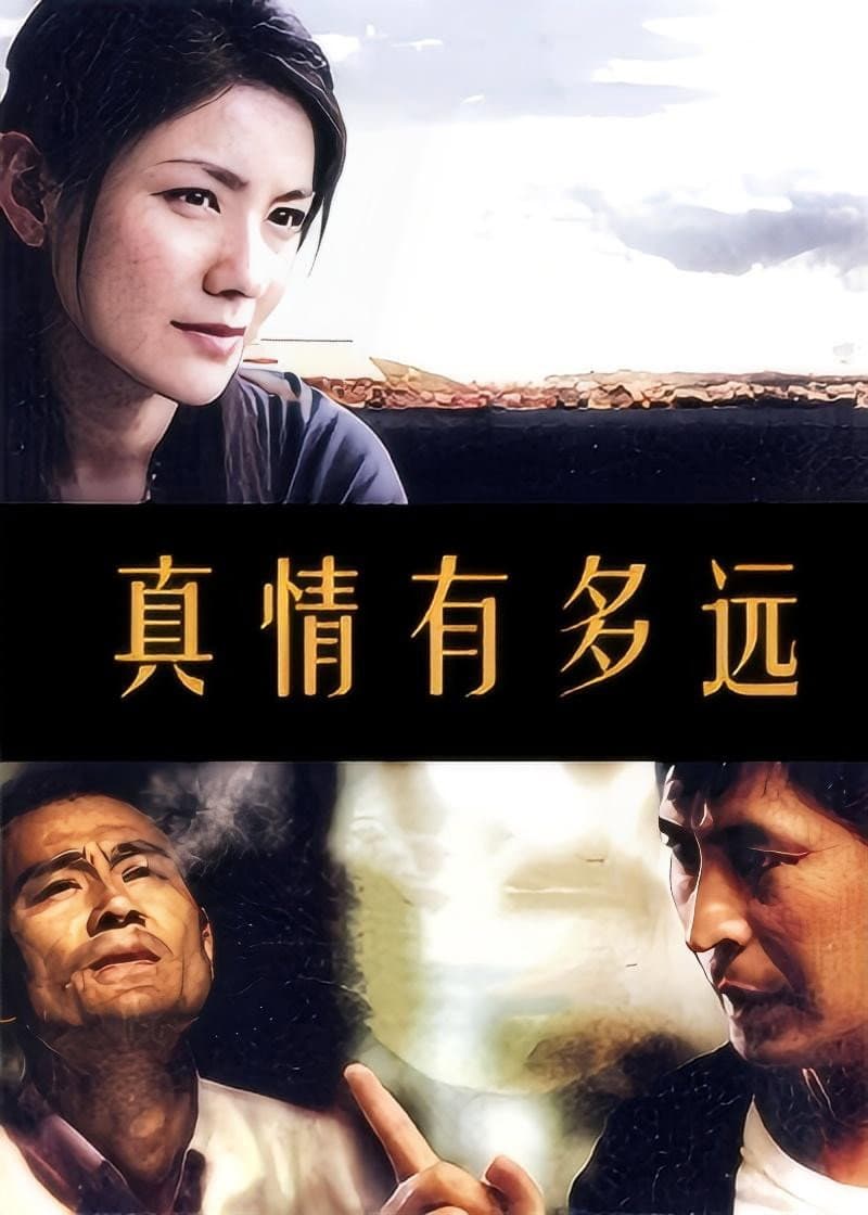 Poster di 真情有多远