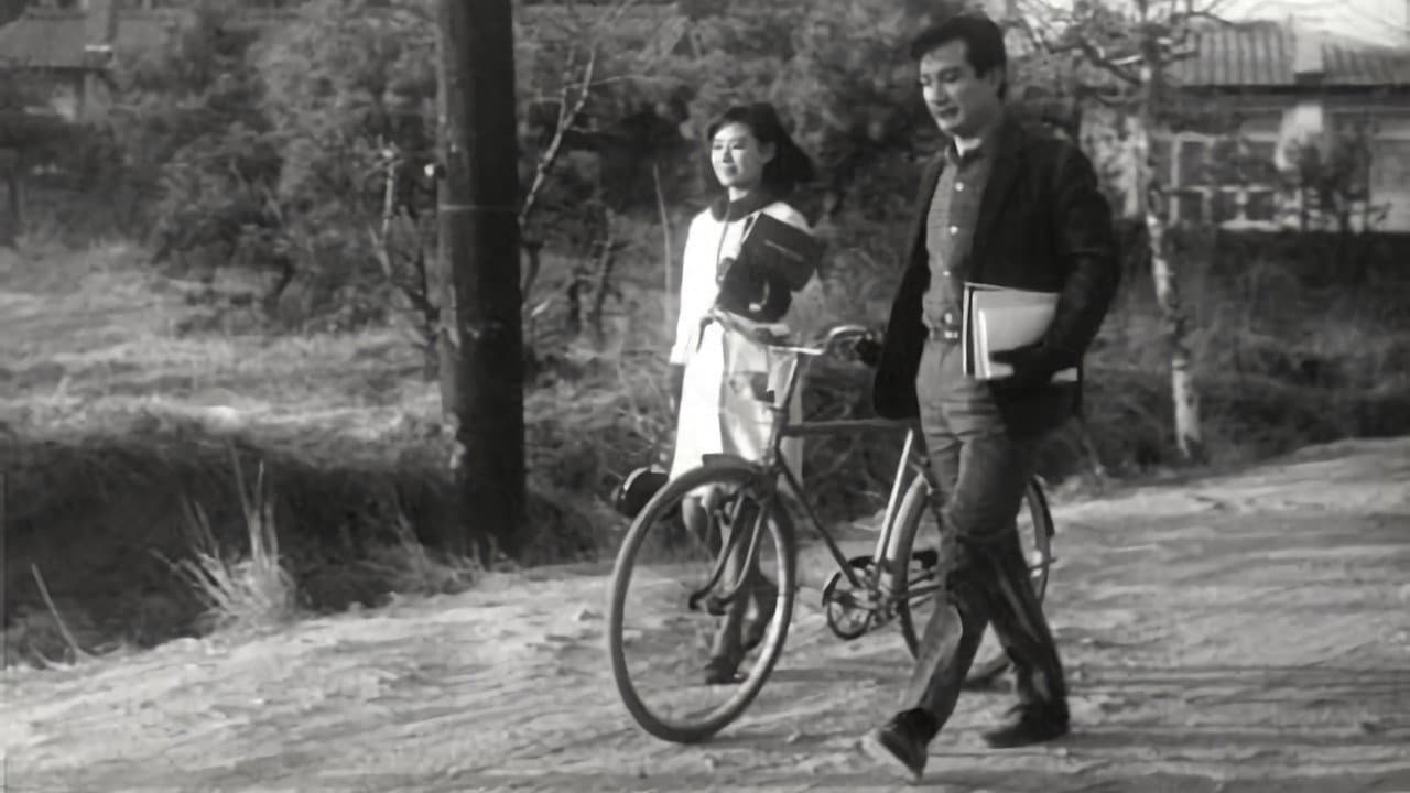 젊은 느티나무 - immagine