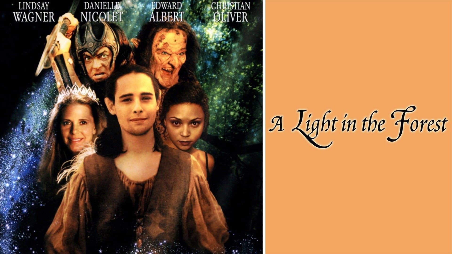 A Light in the Forest - immagine