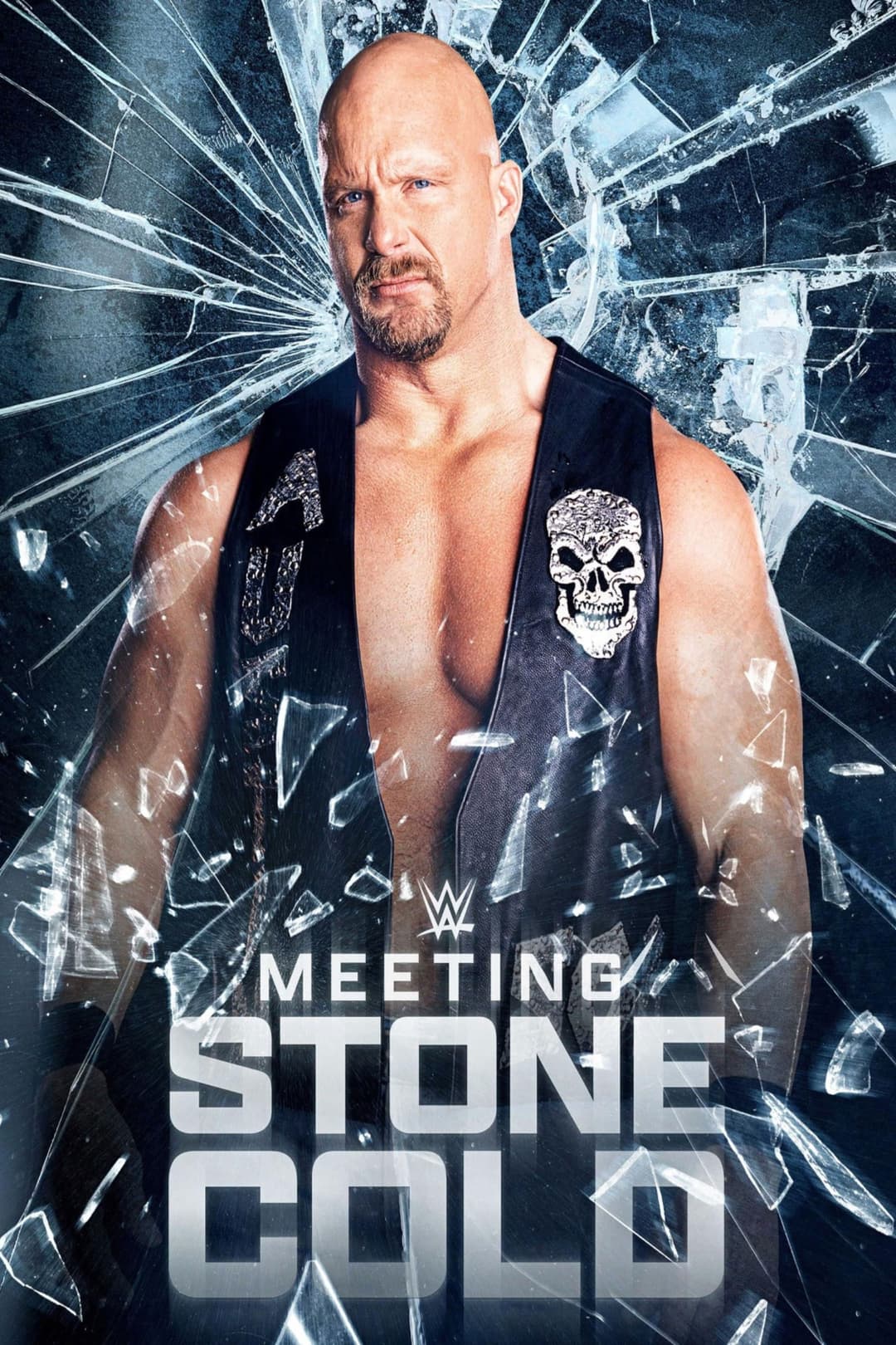 Poster di Meeting Stone Cold