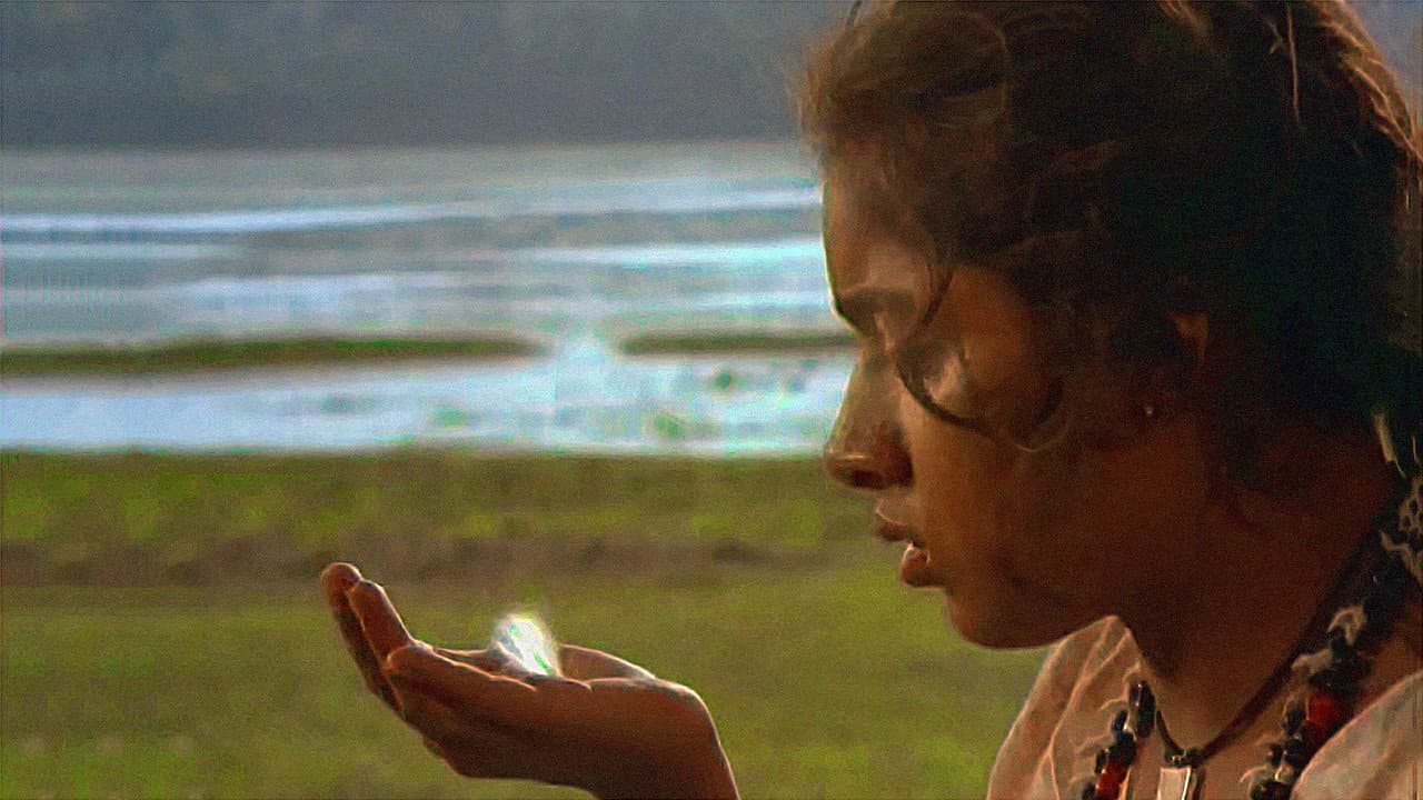 കാക്കോത്തിക്കാവിലെ അപ്പൂപ്പൻ താടികൾ - immagine