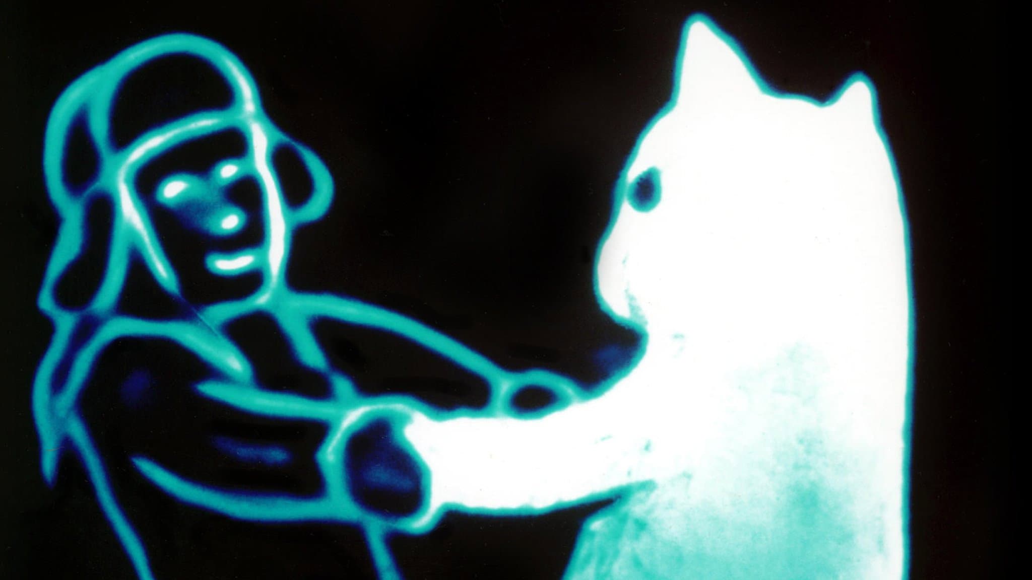 Snow Cat - immagine