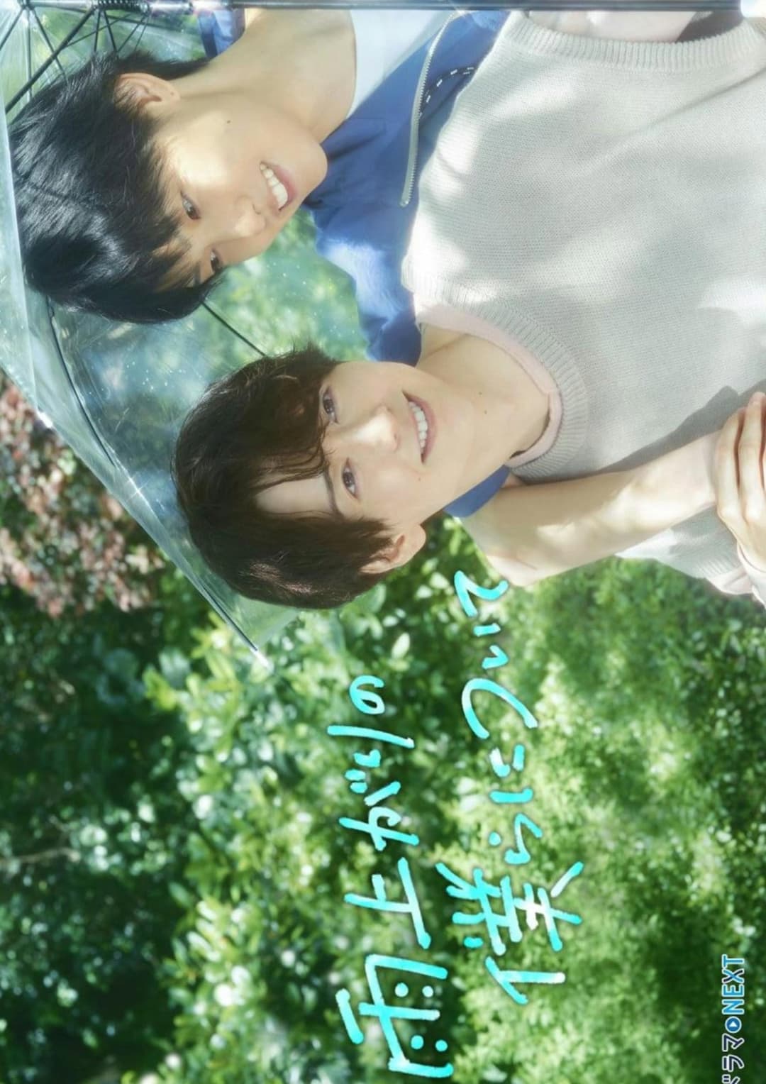 Poster di 雨上がりの僕らについて