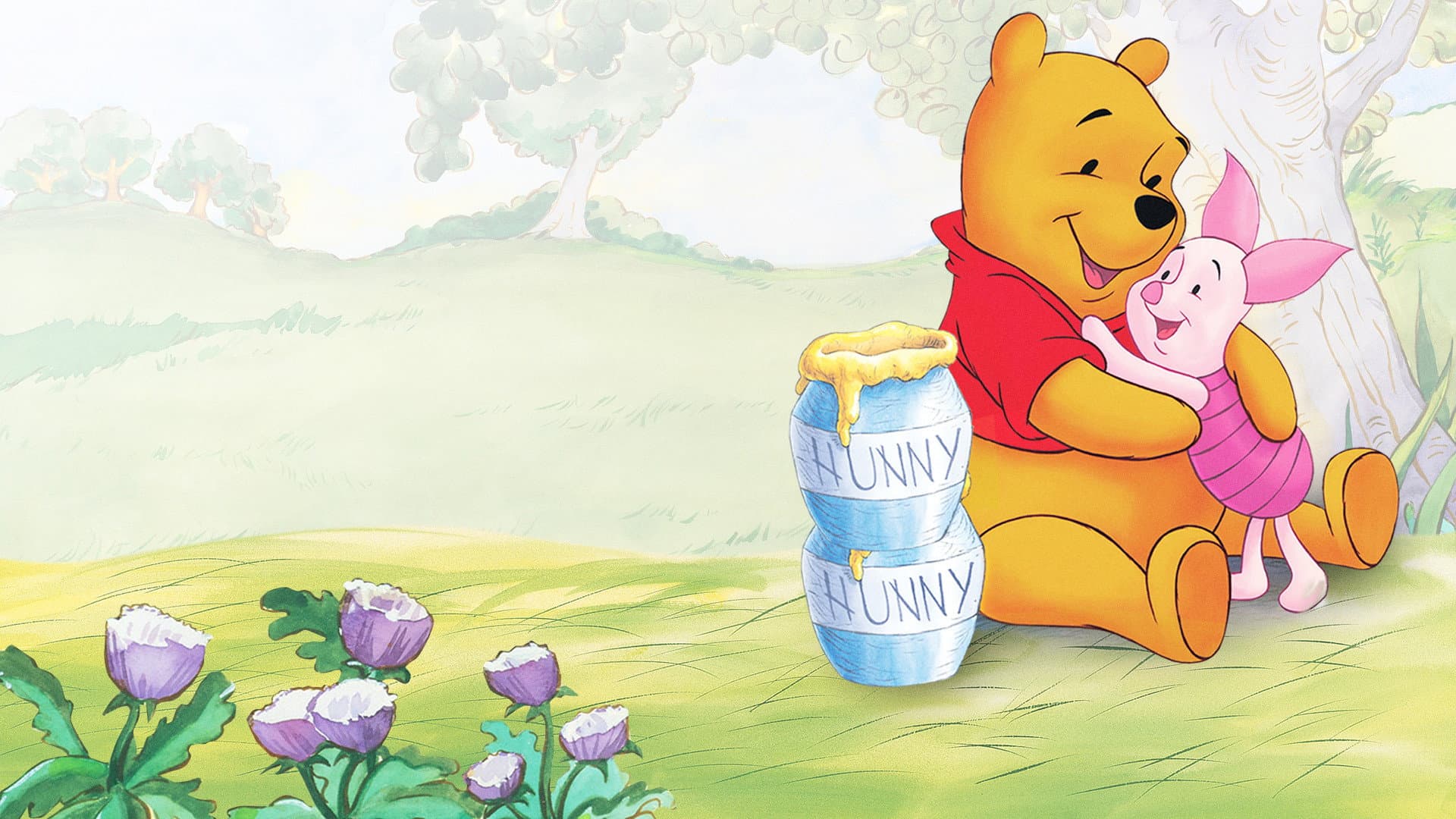 Le avventure di Winnie the Pooh - immagine