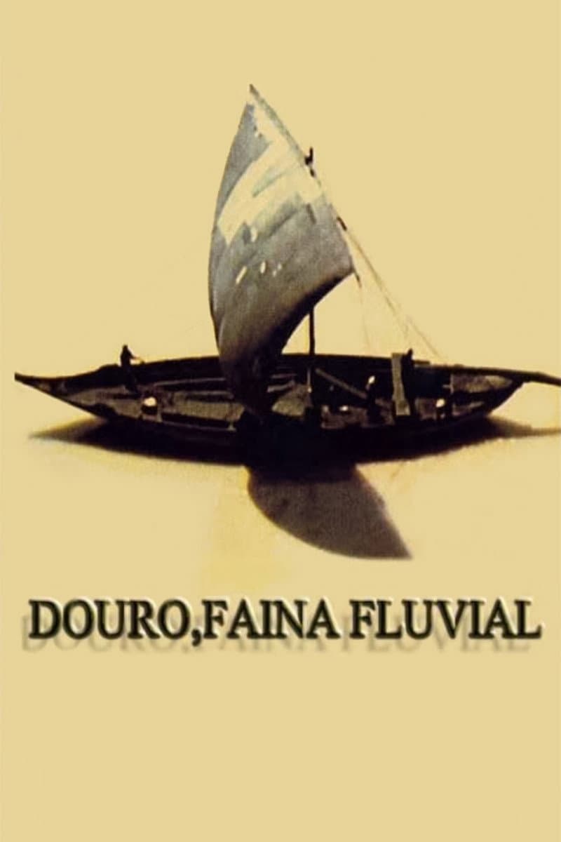 Poster di Douro, Lavoro fluviale