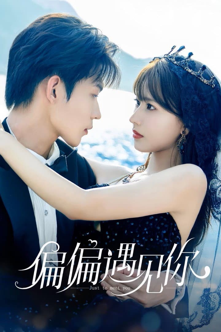 Poster di 偏偏遇见你