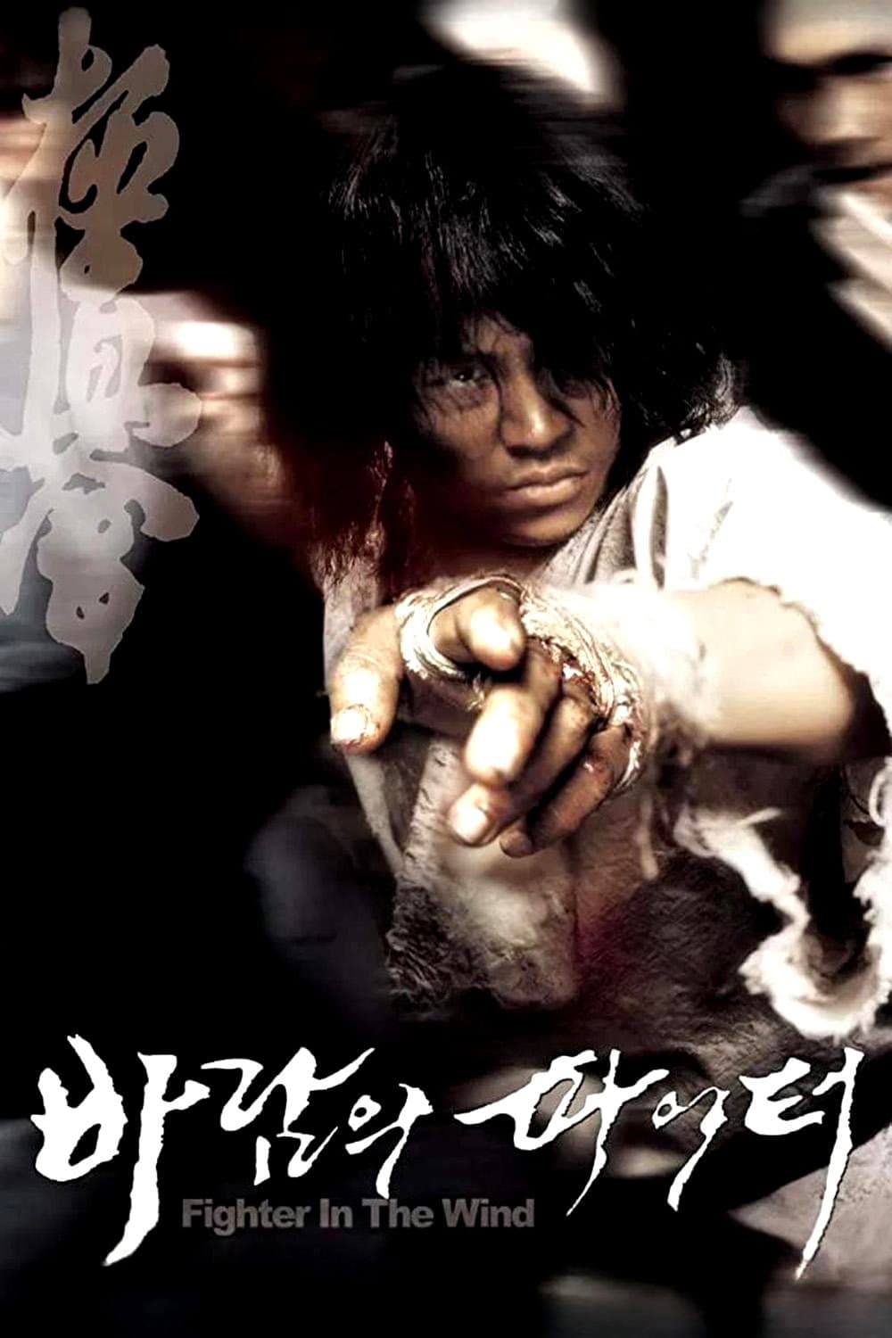 Poster di 바람의 파이터