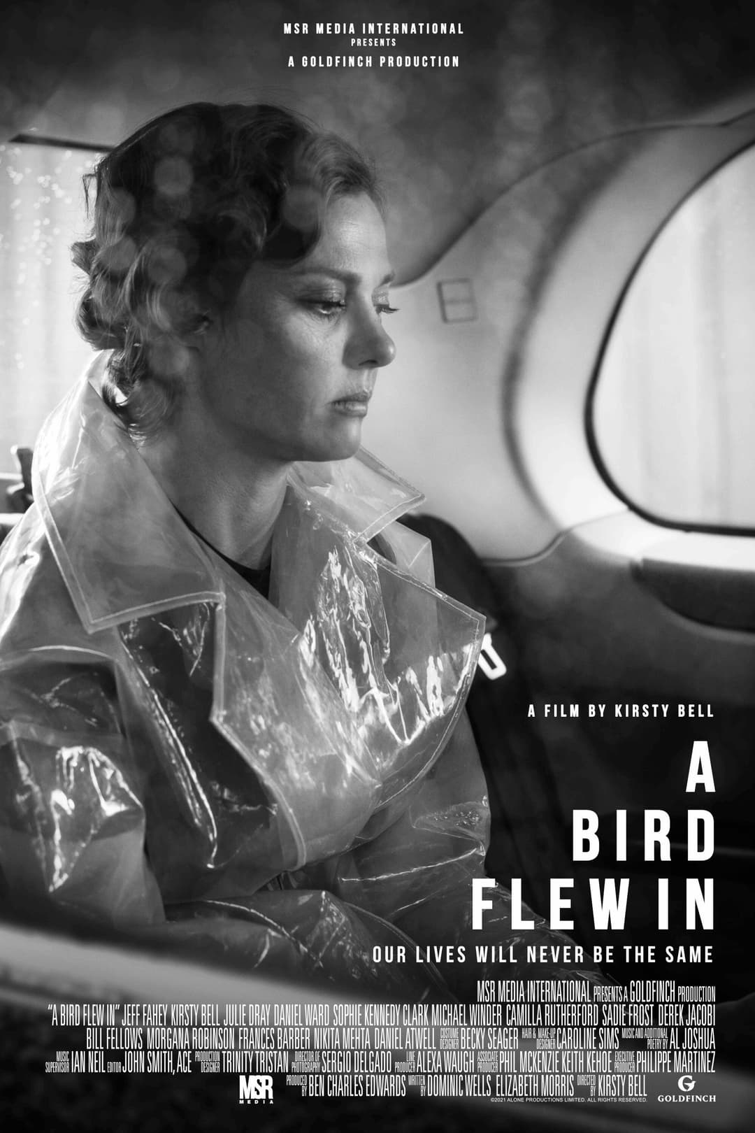 Poster di A Bird Flew In