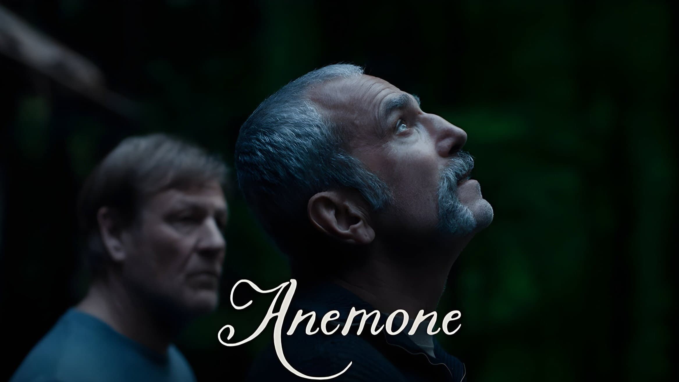Anemone - immagine