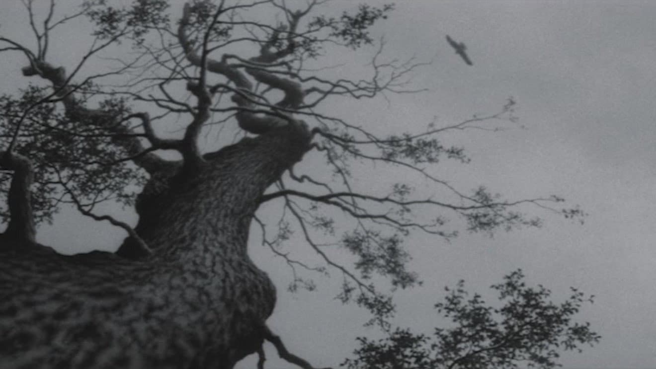 The Temple of Wild Geese - immagine