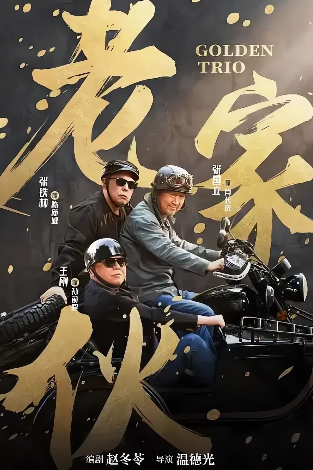 Poster di 老家伙