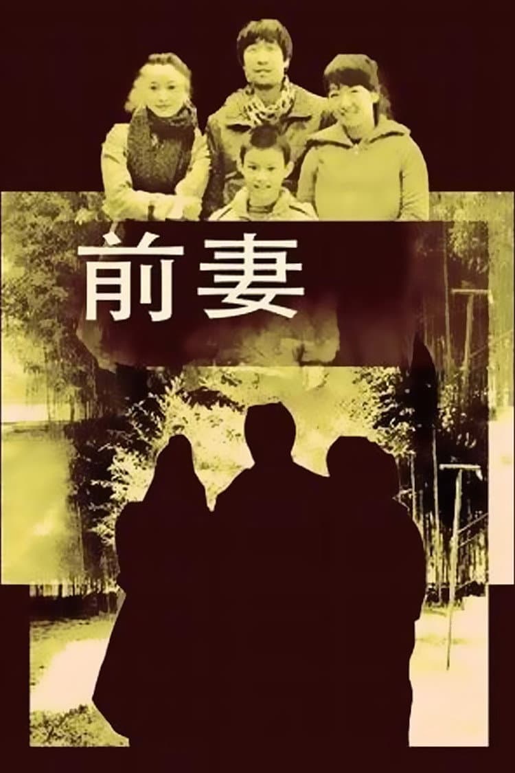 Poster di 前妻
