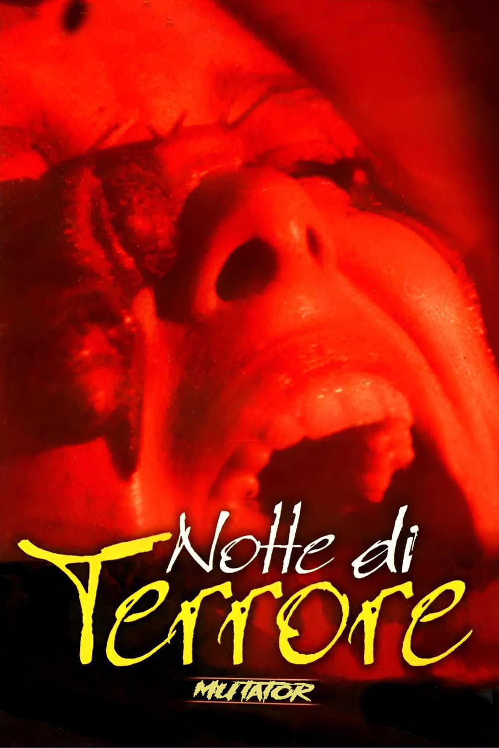 Poster di Notte di terrore