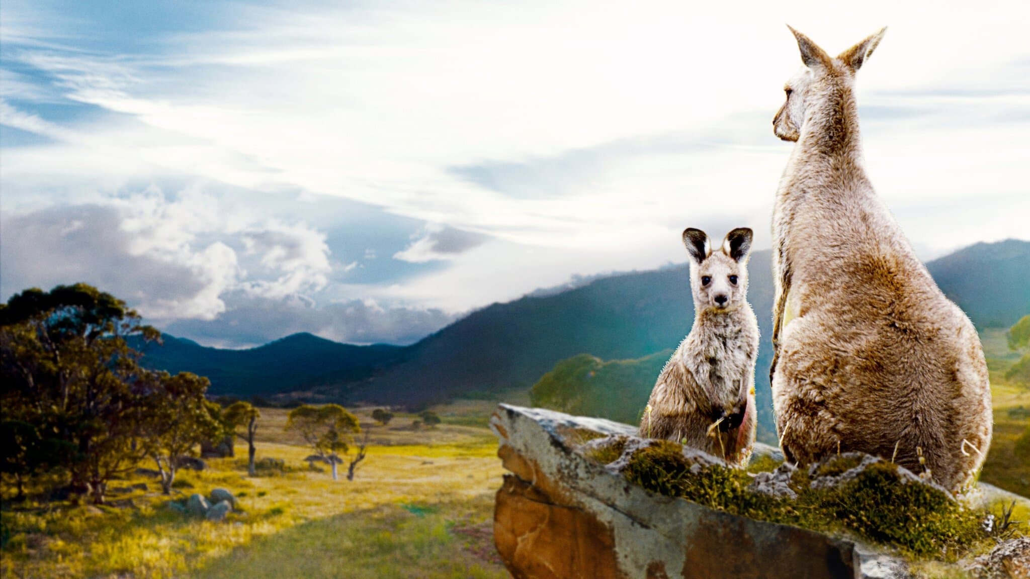 Kangaroo Valley - La valle dei canguri - immagine