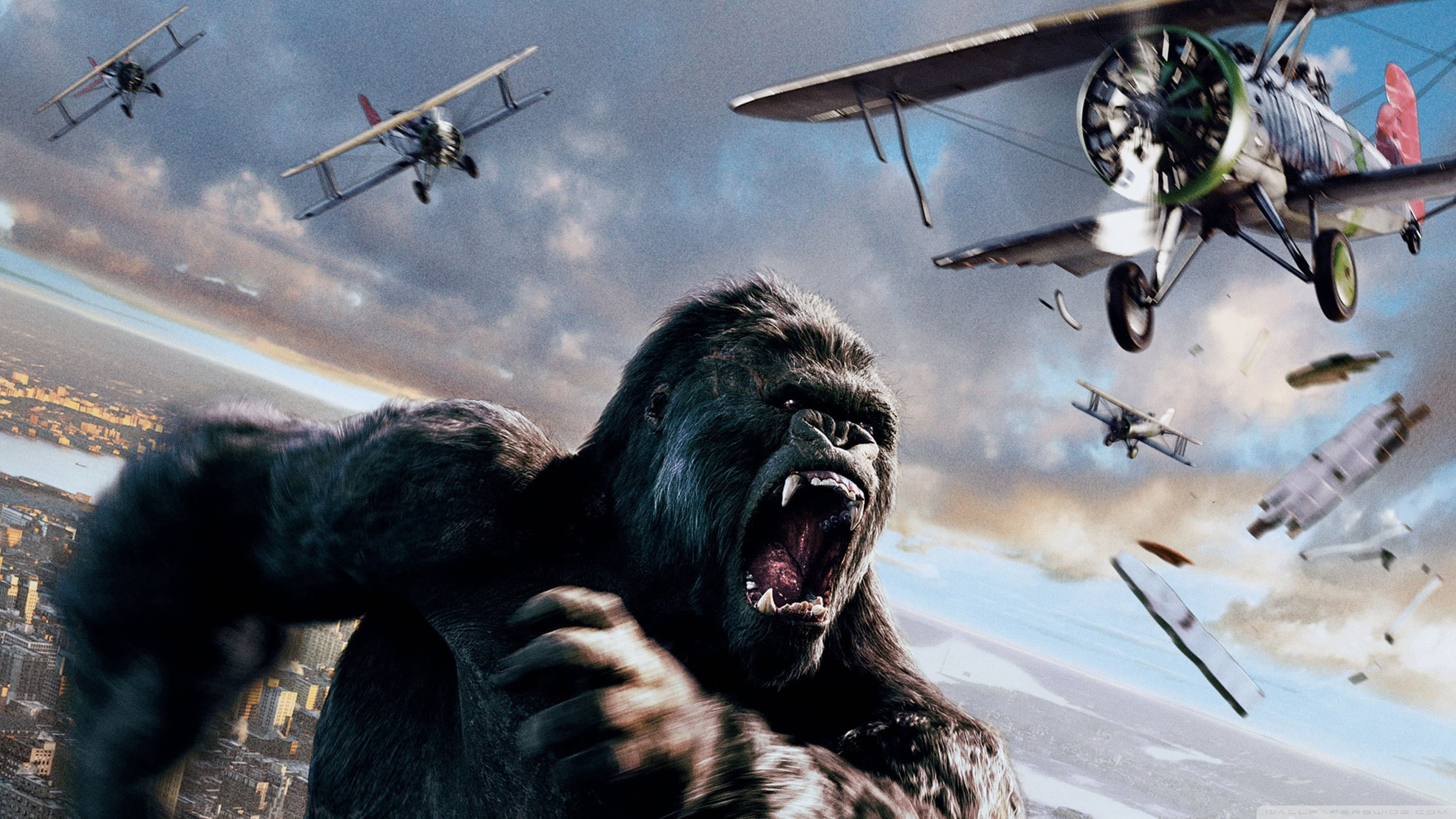 King Kong - immagine