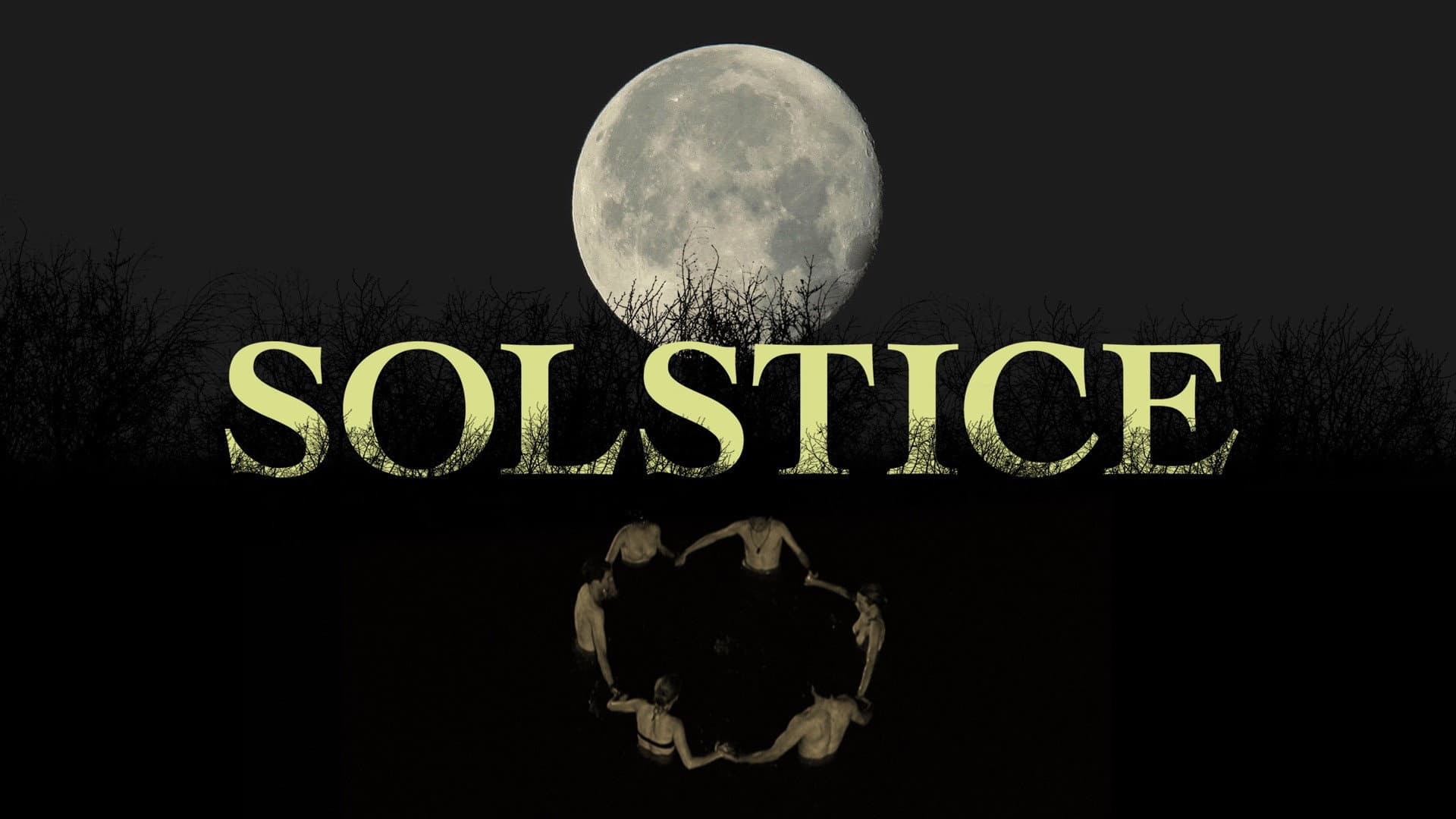 Solstice - immagine