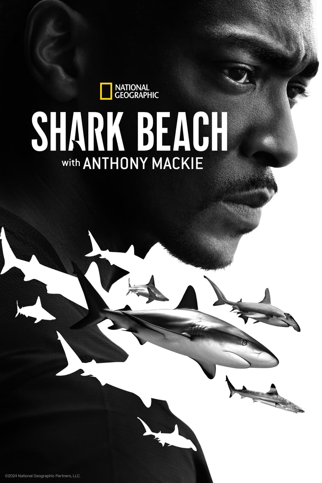 Poster di Shark Beach with Anthony Mackie