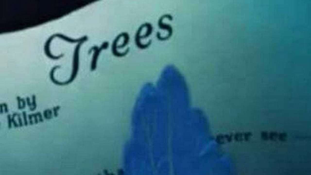 Trees - immagine
