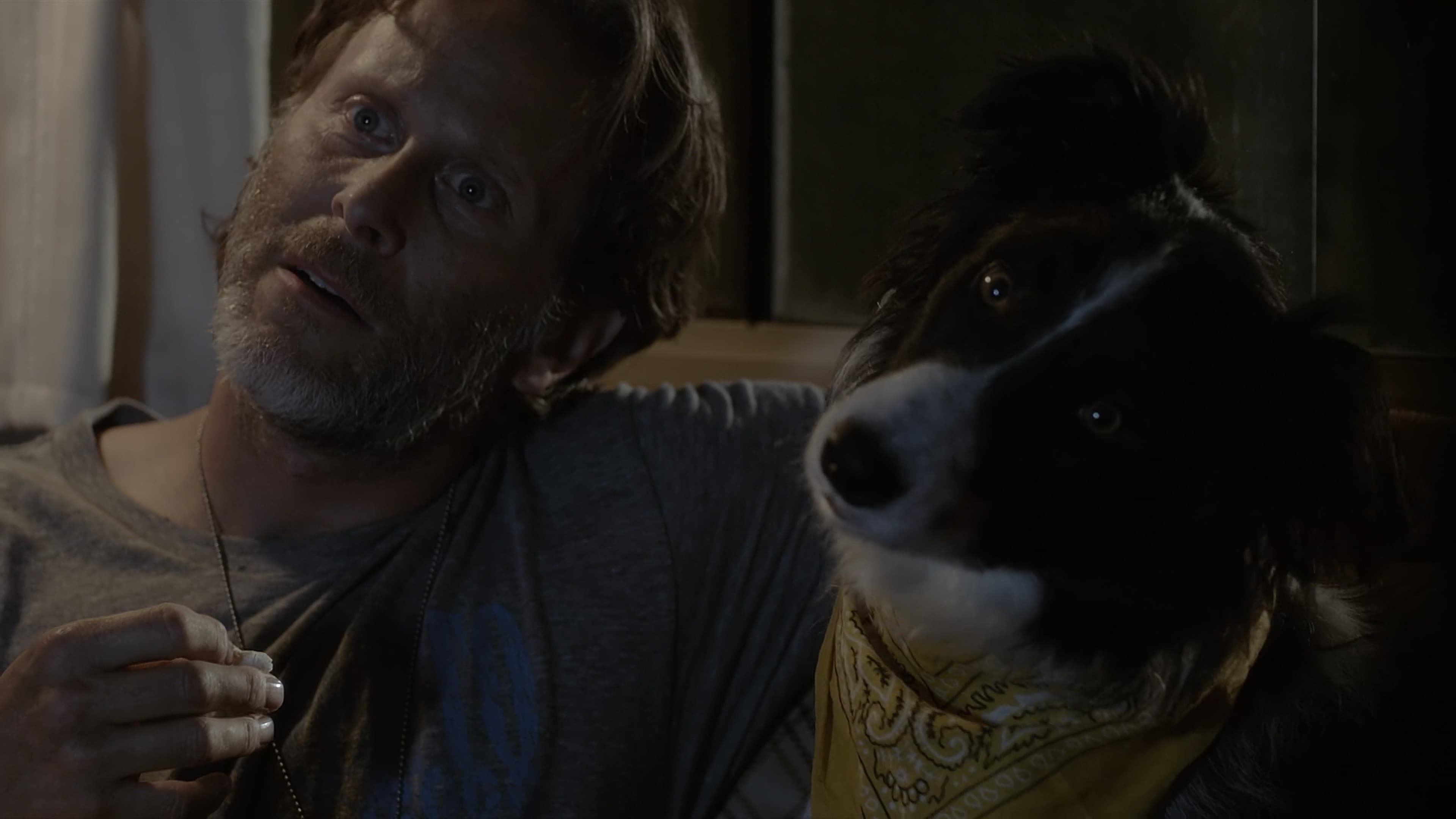 Un amico di nome Duke - immagine