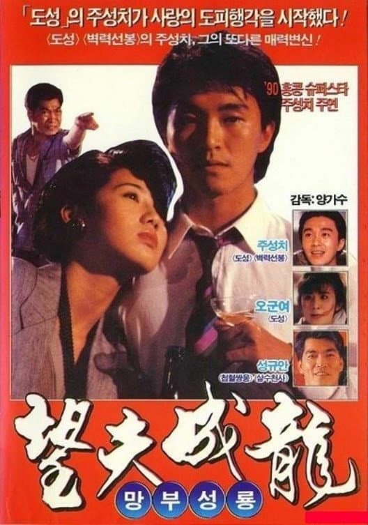 Poster di 望夫成龍
