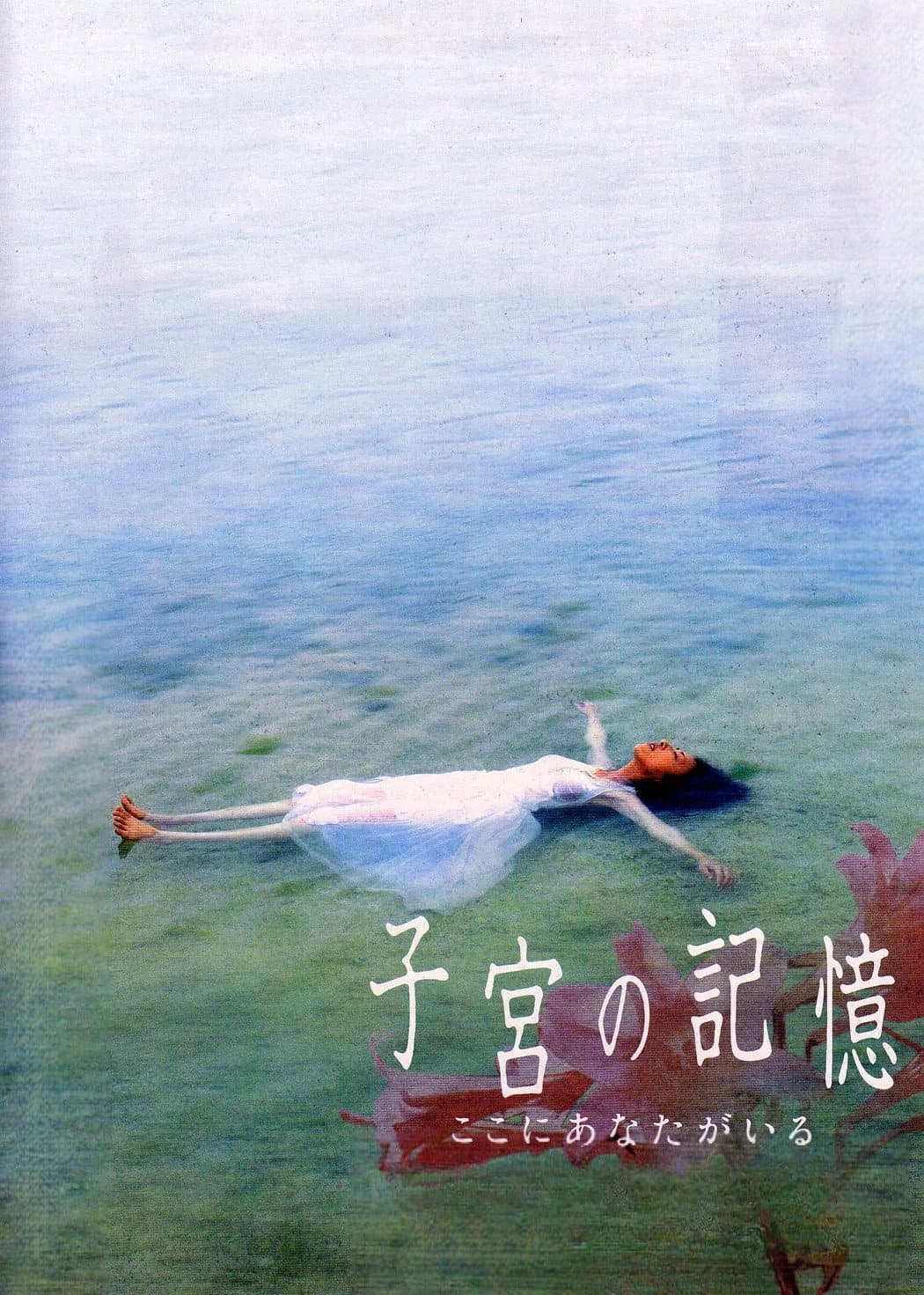 Poster di 子宮の記憶 ここにあなたがいる