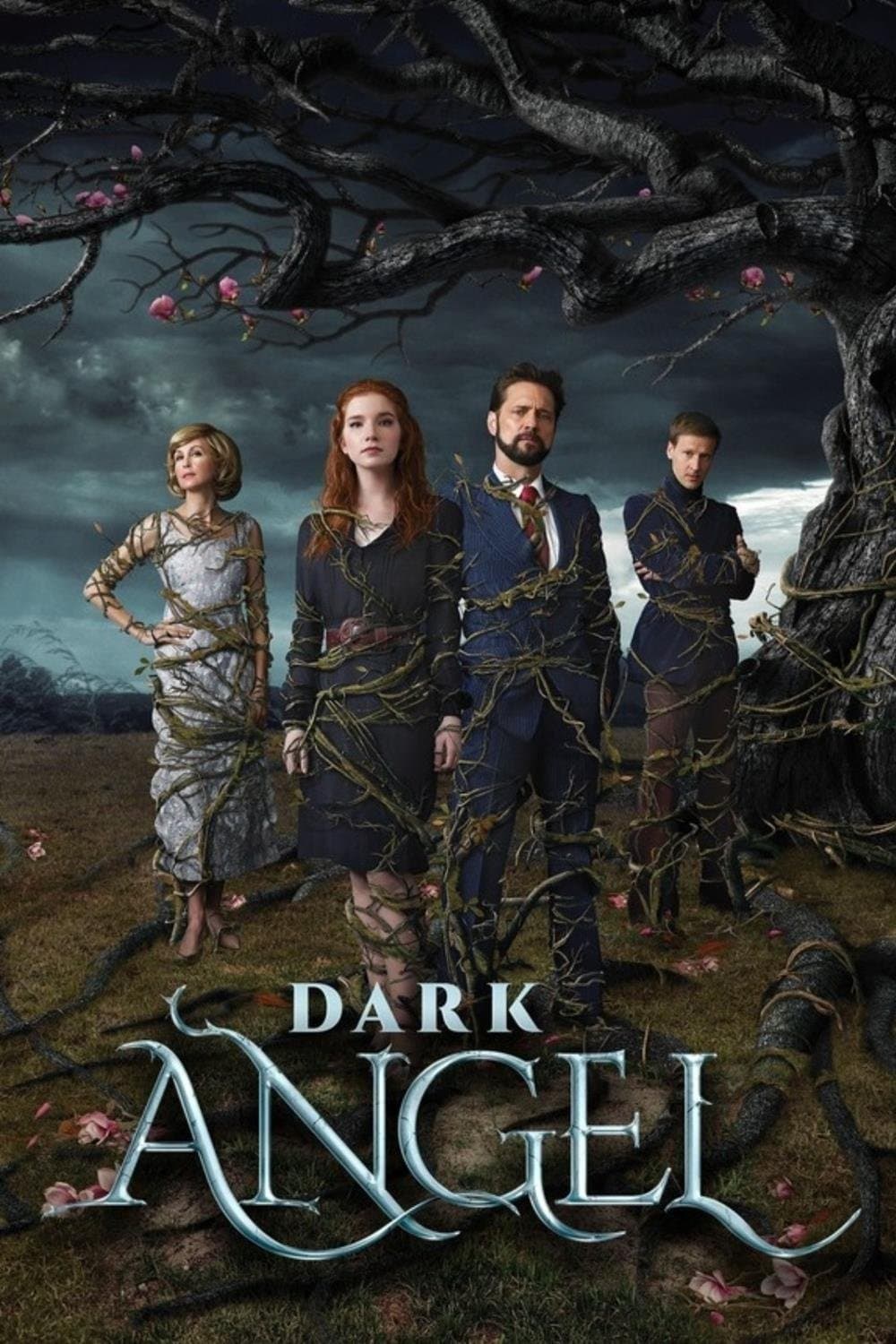 Poster di Dark Angel