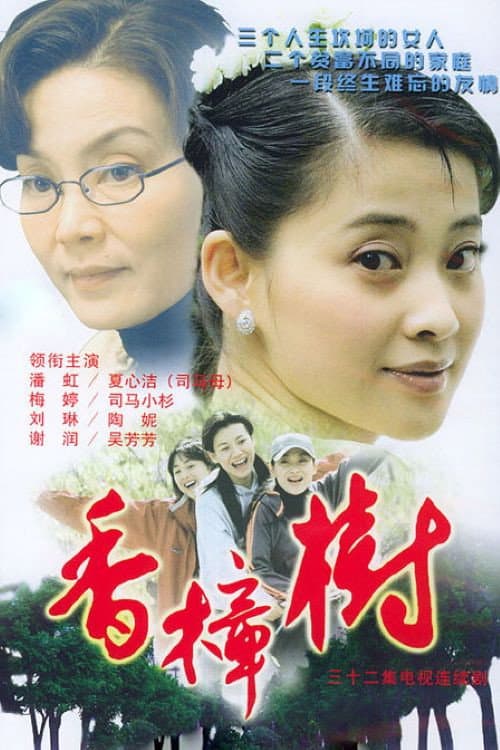 Poster di 香樟树