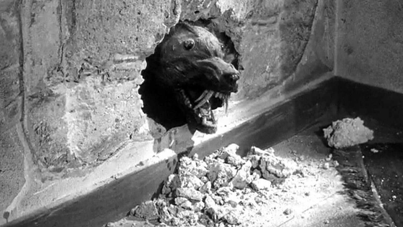 The Killer Shrews - Toporagni assassini - immagine