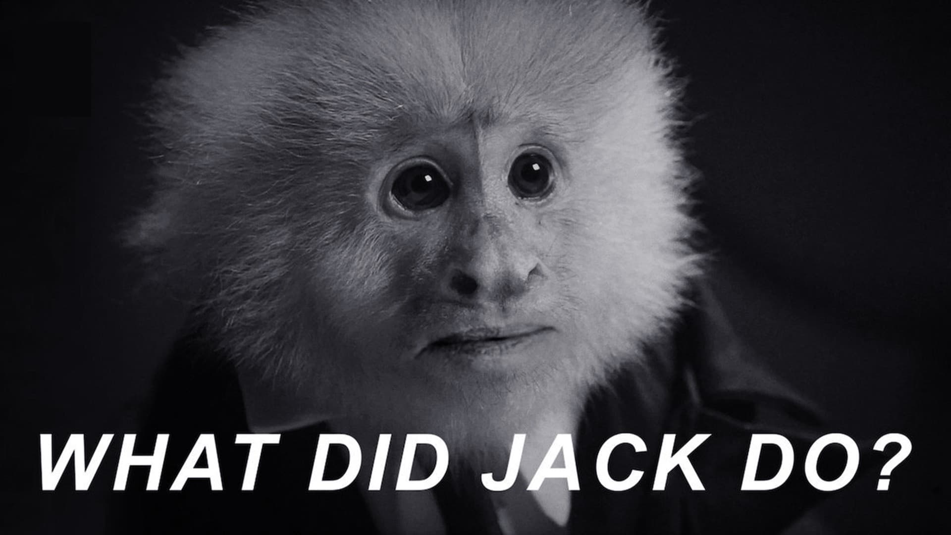 WHAT DID JACK DO? - immagine