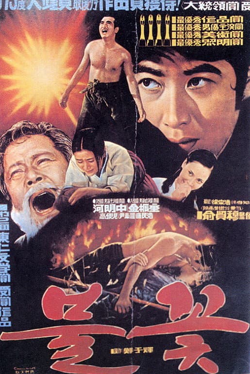 Poster di 불꽃