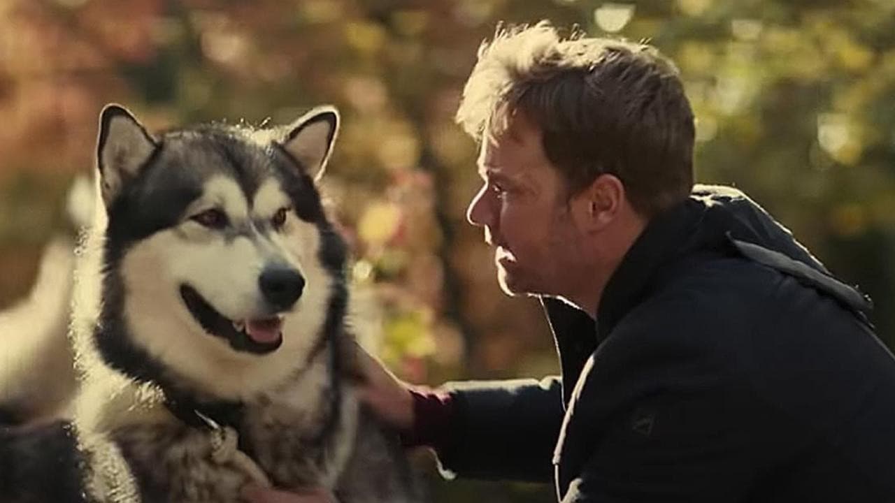 Hero Dog: The Journey Home - immagine