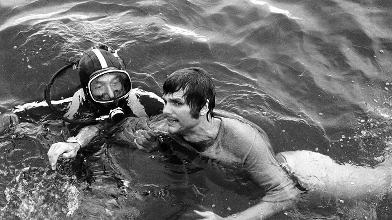 Black Water Gold - immagine
