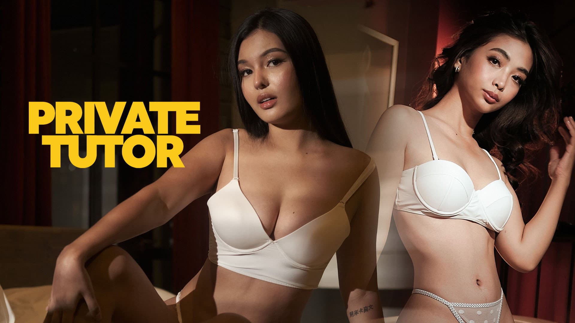 Private Tutor - immagine