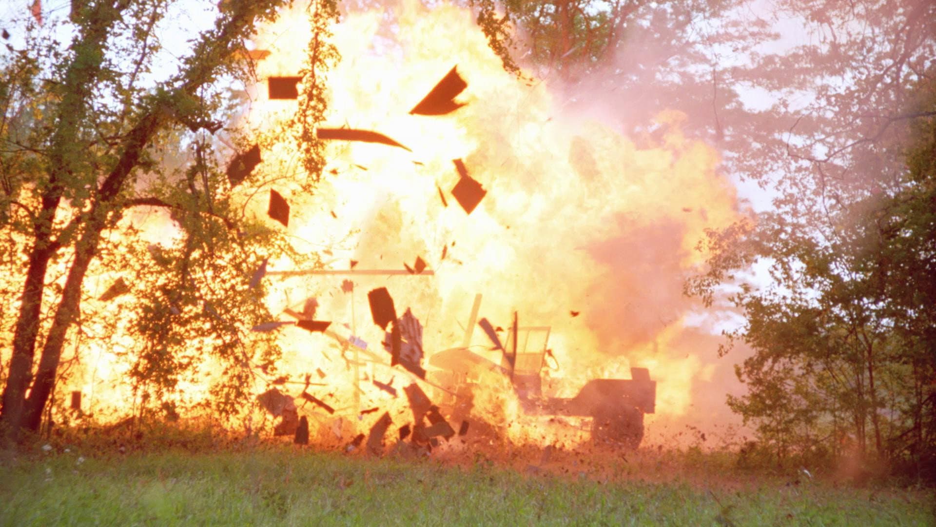 Day of the Warrior - immagine